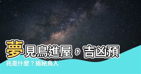 夢見有賊入屋|【夢見有賊入屋】揭秘夢境異兆！夢見有賊入屋，小心財物不保！。